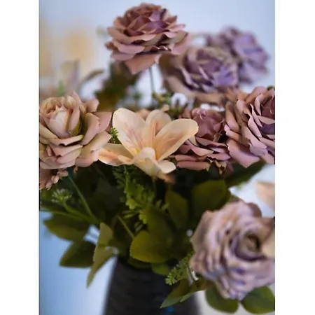 One-bedroom Nyaraló Prerow